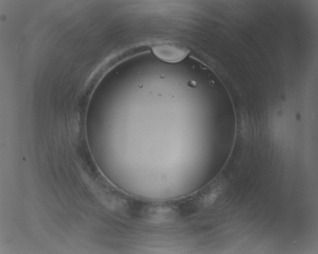 X0000052570208200507011229