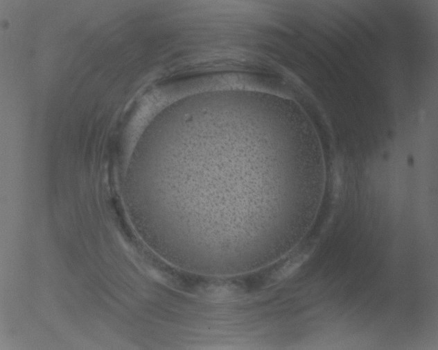 X0000052570209200507011229