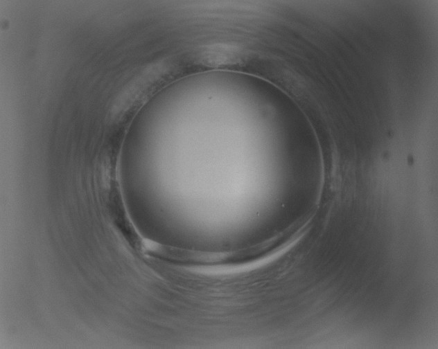 X0000052570210200507011229