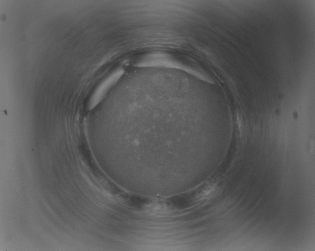 X0000052570211200507011229