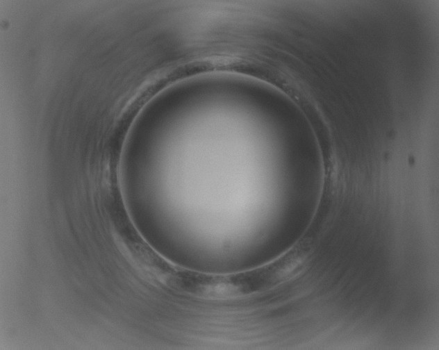 X0000052570212200507011229