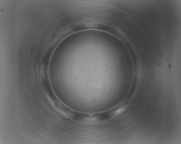 X0000052570213200507011229