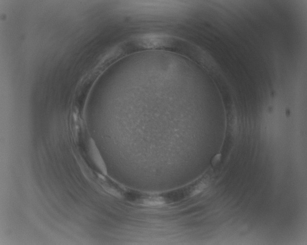 X0000052570214200507011229