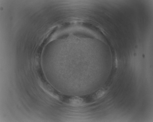 X0000052570215200507011229