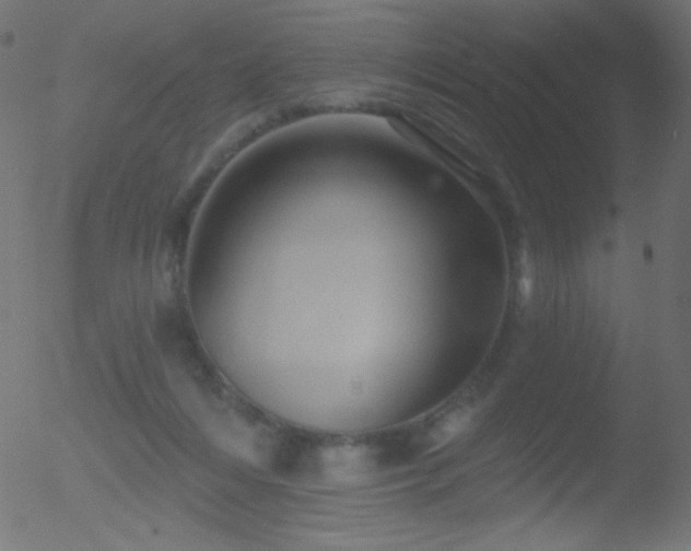 X0000052570216200507011229