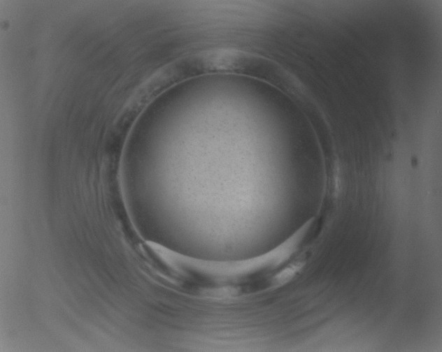 X0000052570217200507011229