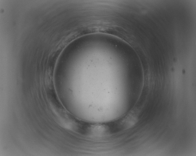 X0000052570218200507011229