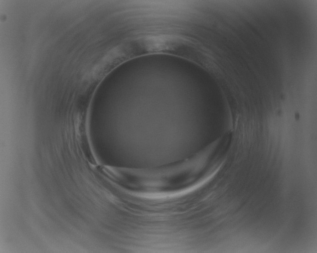 X0000052570219200507011229