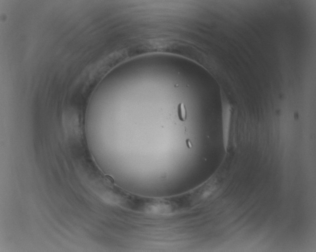 X0000052570220200507011229