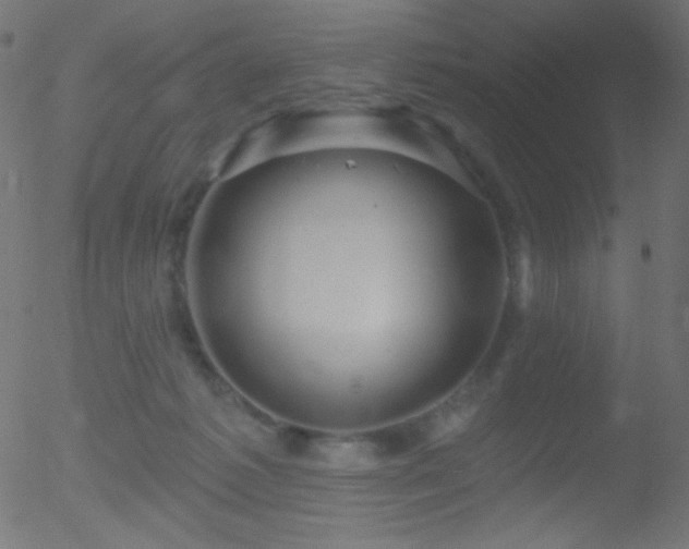 X0000052570221200507011229