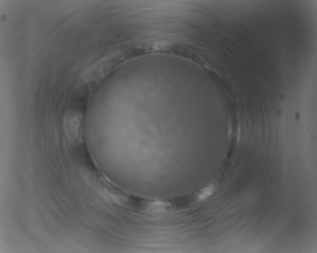 X0000052570222200507011229