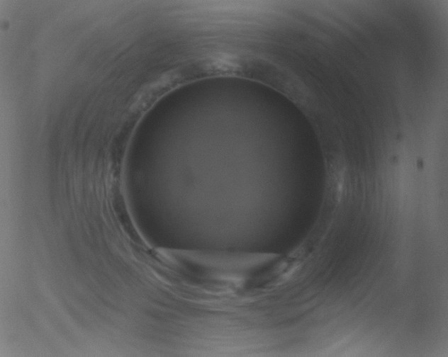 X0000052570223200507011229