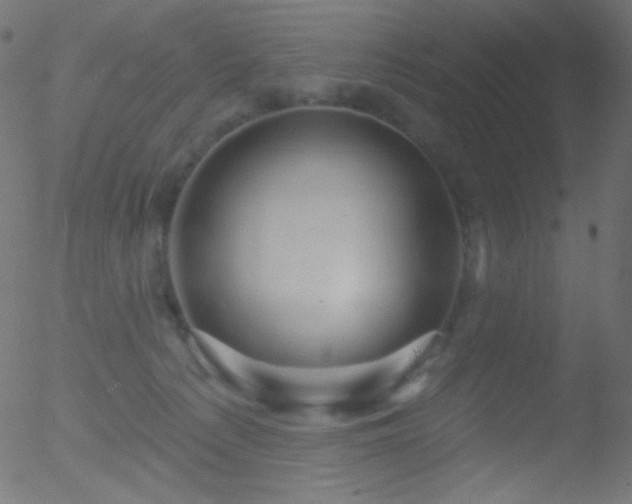 X0000052570225200507011229