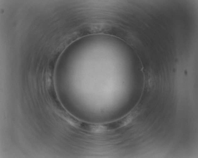 X0000052570226200507011229