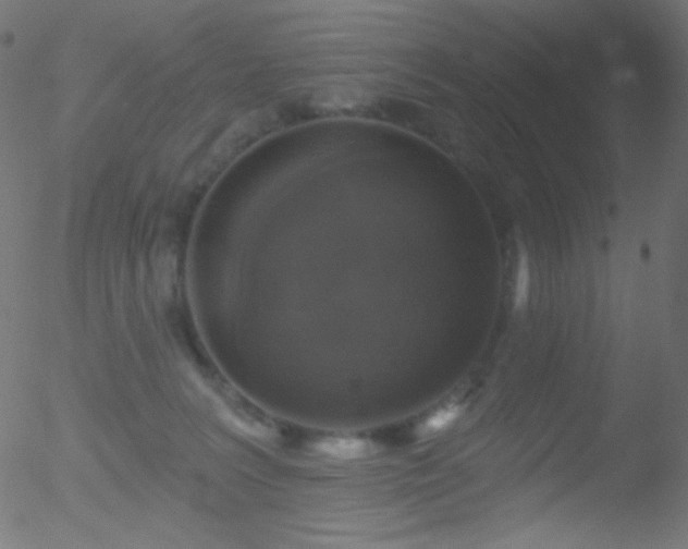 X0000052570227200507011229