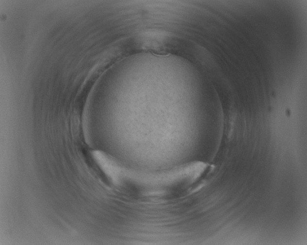 X0000052570228200507011229