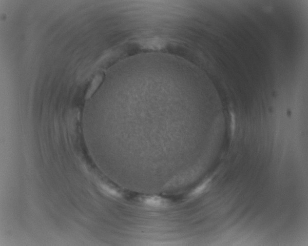 X0000052570229200507011229