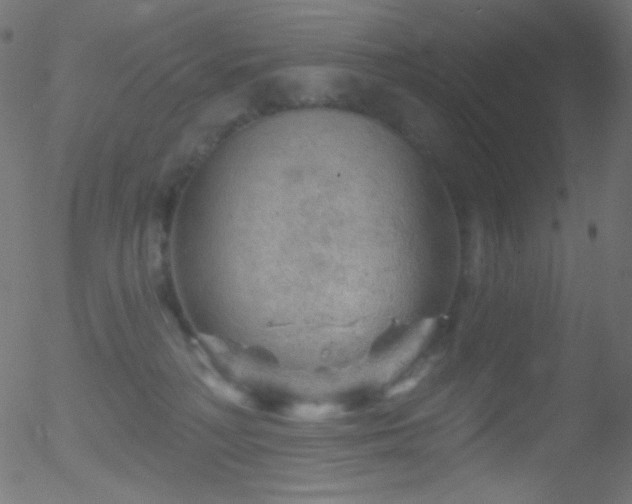 X0000052570230200507011229