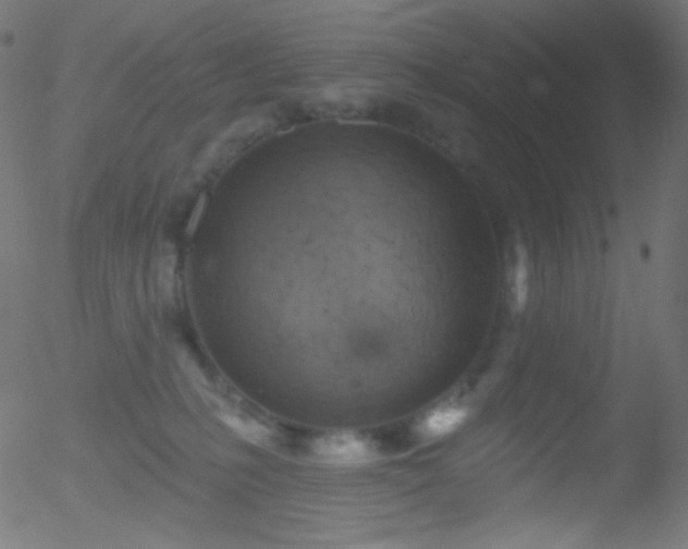 X0000052570231200507011229