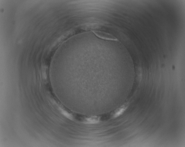 X0000052570232200507011229