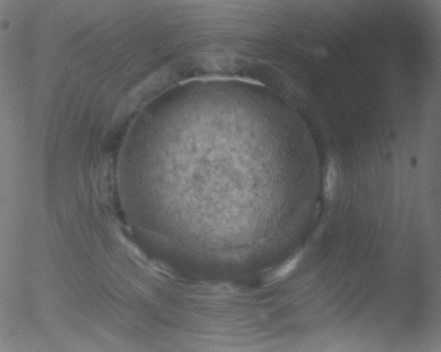 X0000052570233200507011229