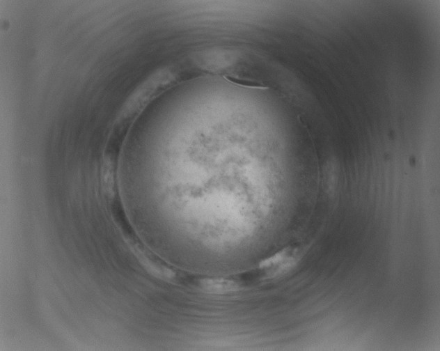 X0000052570234200507011229