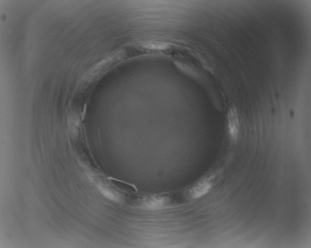 X0000052570235200507011229