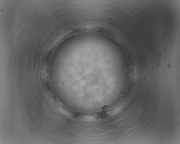 X0000052570236200507011229