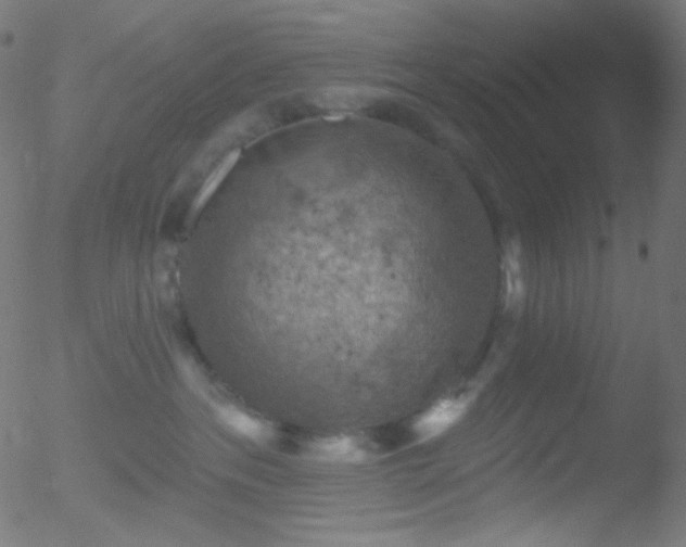 X0000052570237200507011228