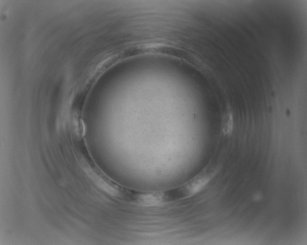 X0000052570238200507011228