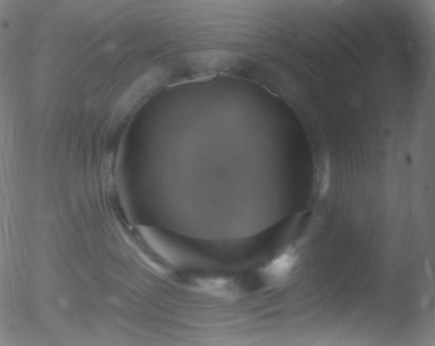 X0000052570239200507011228