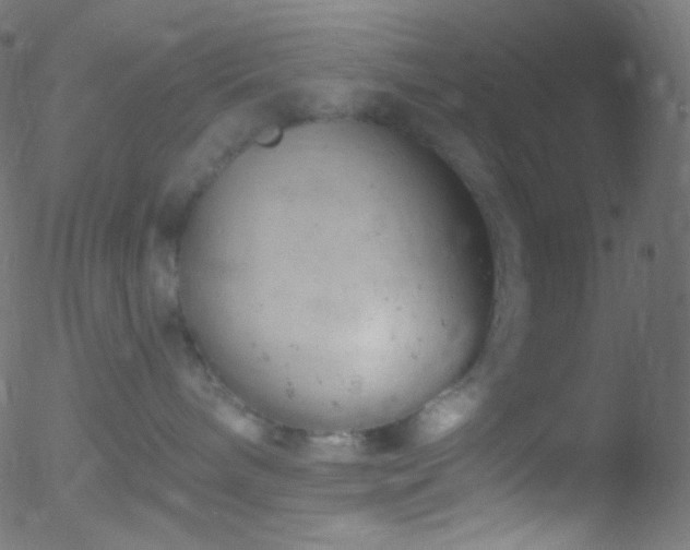 X0000052570240200507011228