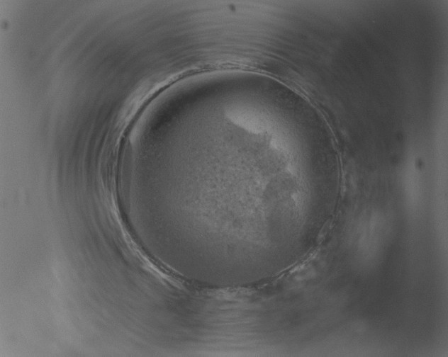 X0000052570241200507011228