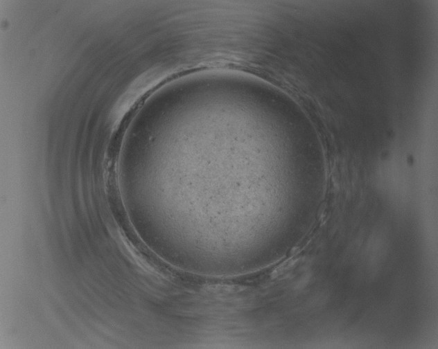 X0000052570242200507011228