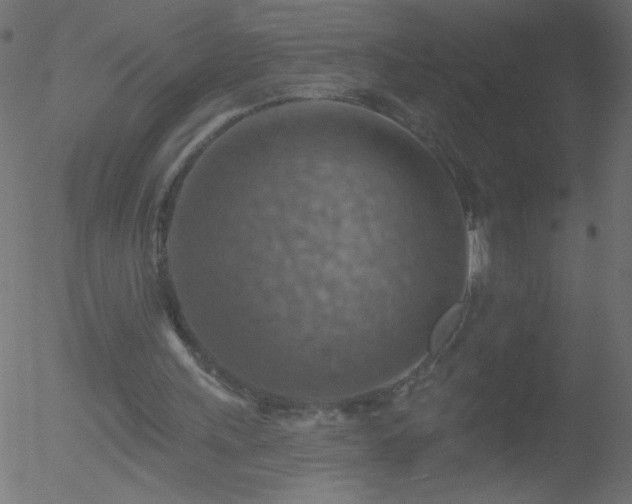 X0000052570243200507011228