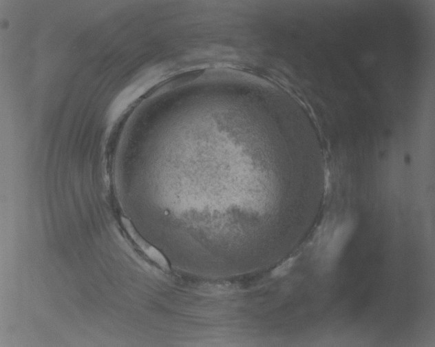 X0000052570245200507011228