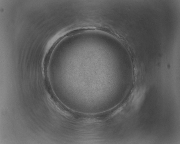 X0000052570246200507011228