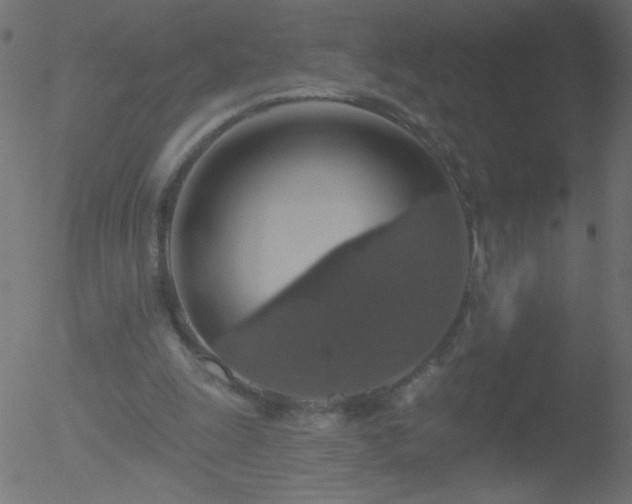 X0000052570247200507011228