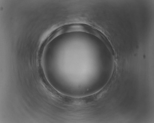 X0000052570248200507011228