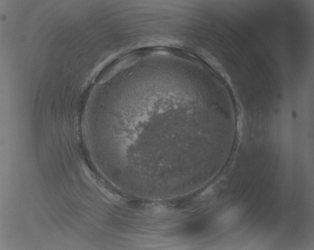 X0000052570249200507011228