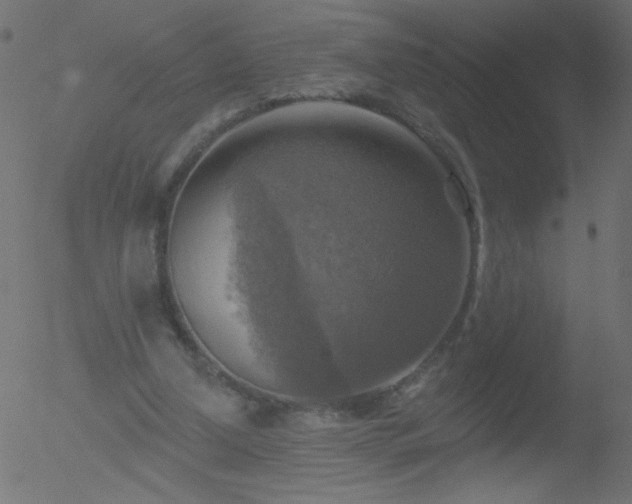 X0000052570250200507011228