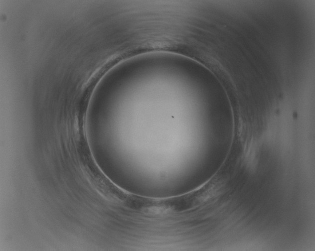 X0000052570251200507011228