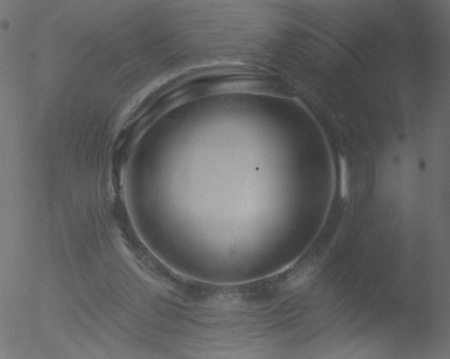 X0000052570252200507011228