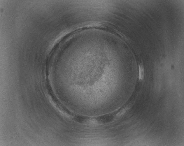 X0000052570253200507011228