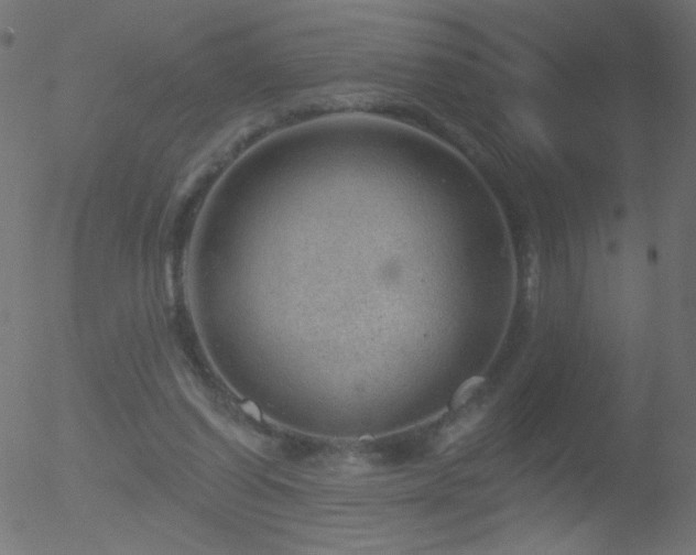 X0000052570254200507011228