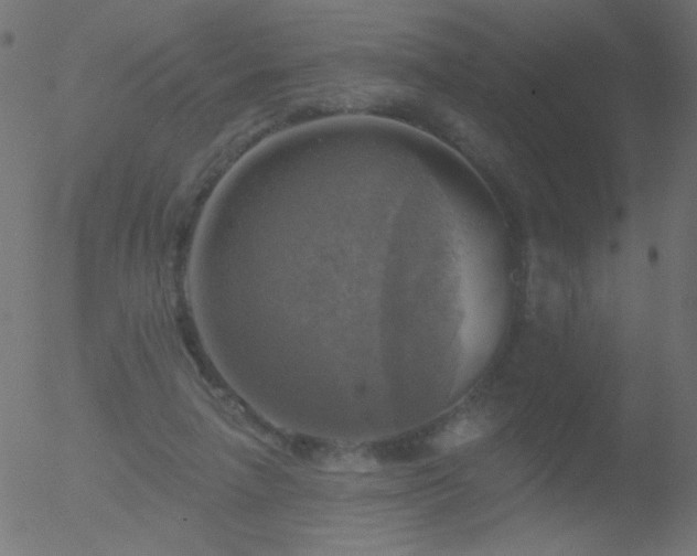 X0000052570258200507011228