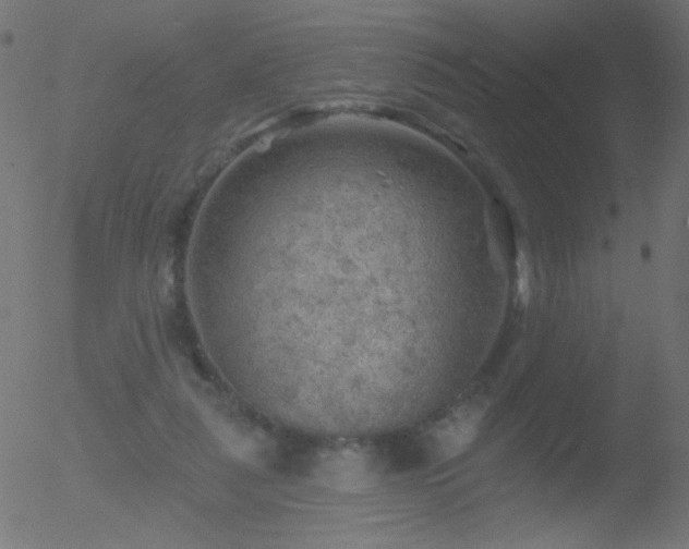 X0000052570259200507011228