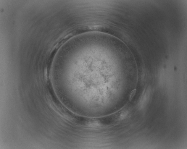 X0000052570262200507011228