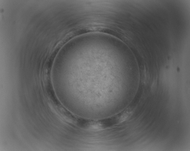 X0000052570263200507011228