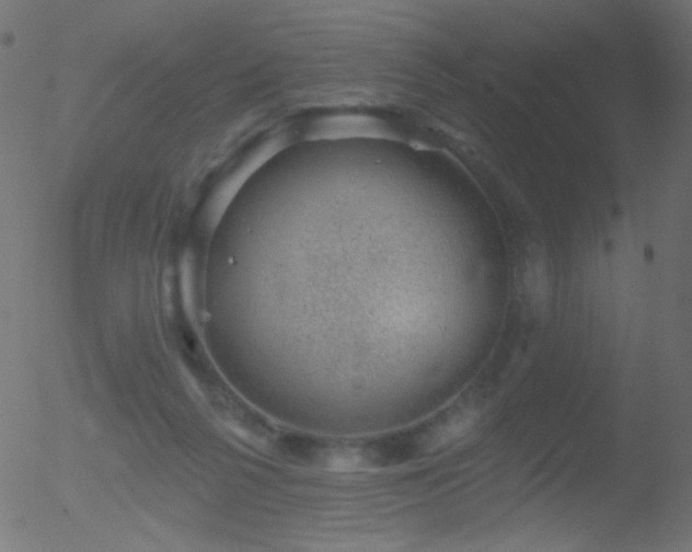 X0000052570264200507011228